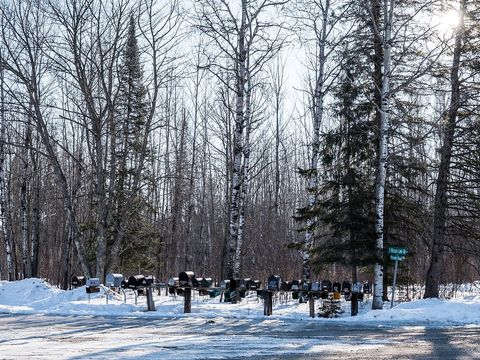 Row of rural mailboxes on wooden posts beside a snowy forest road in Minnesota